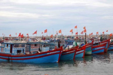 Hai Phong: Up in fishery production in Jan-Oct 2016 