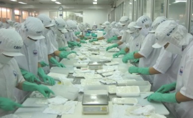 Aug 2016: Vietnam cepahlopod exports inch up slightly