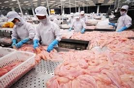 Pangasius imports of Mexico betters after TPP