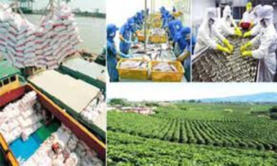 CPTPP: opportunities, challenges await VN’s agro-forestry-fishery