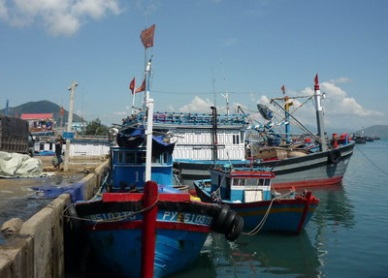 Phu My District (Binh Dinh): Up in capture and aquaculture production 