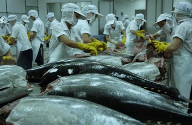 Vietnam tuna sales to Portugal jumped up
