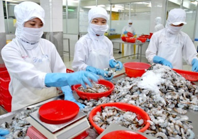Shrimp exports to hit US$3.1 billion this year