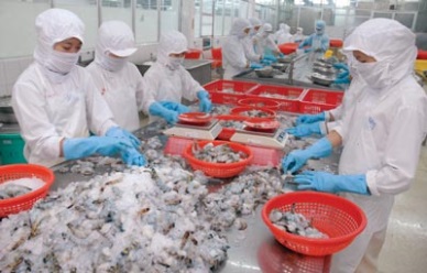 Japan – the largest importer of Vietnam shrimp in QI/2017