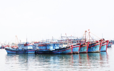 Khanh Hoa: Capture output totaled 553 MT