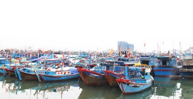 Khanh Hoa fishermen benefiting from fishing technology