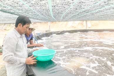 Biosecurity shrimp farming using biofloc technology