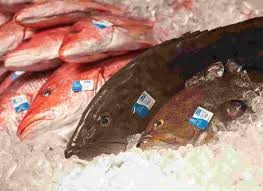 Seafood traceability program wins award