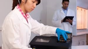 Regulation on fish imported by Vietnam