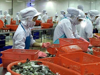 Opportunity for Vietnamese whiteleg shrimp export to EU