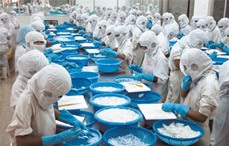 Seapriexco No4 expects to earn VND 22 billion