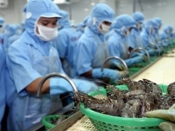 QI/2016: Export upswing for Vietnamese shrimp