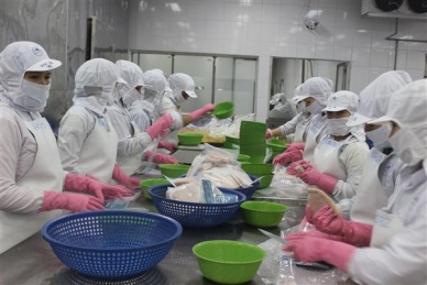 Requirements for fishery consignments imported into Vietnam for further processing and export to EU 