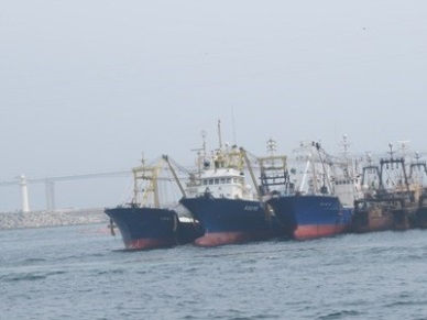 Three fishing ports constructed