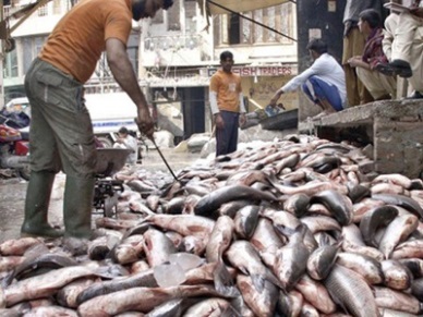 India: Higher seafood exports to the US