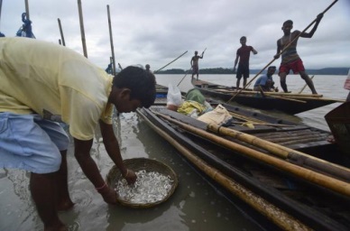 Climatic changes pose serious threats to the fishing sector