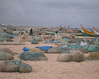 India: Seafood park proposed to meet demands