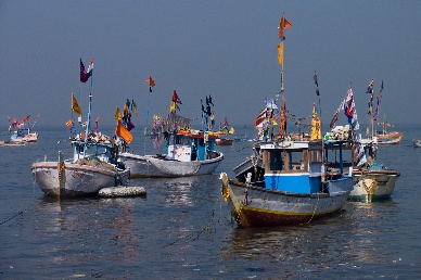 India: Natural fishing grounds continue shrinking