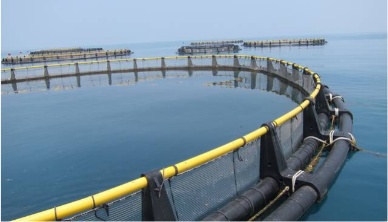 Indonesia banks on aquaculture for growth