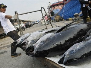 Indonesia to Boost Fisheries Production and Exports