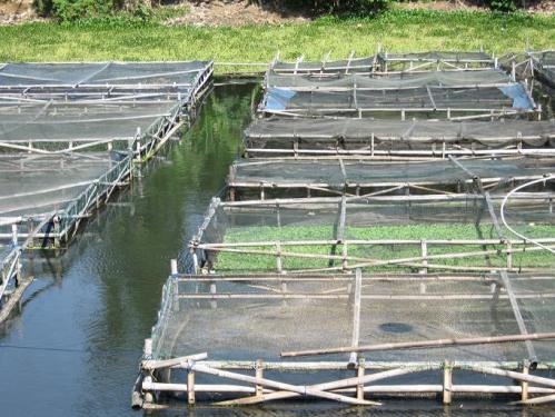 China to invest US$155 million in Indonesia