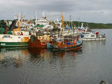 Ireland: EUR 148 million EU funds secured for seafood industry