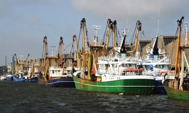 EU may ban fish imports from Cambodia, Belize, Guinea, Ghana, S. Korea for IUU fishing