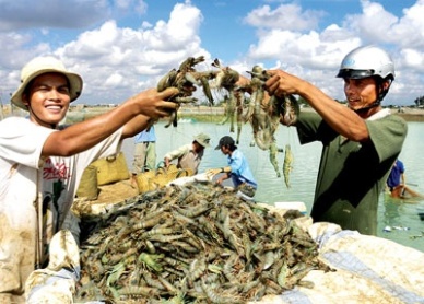 Vietnam seafood sector expects to gain from Japan