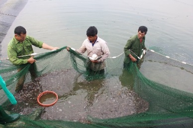 Fishery production reached 6.7 million MT