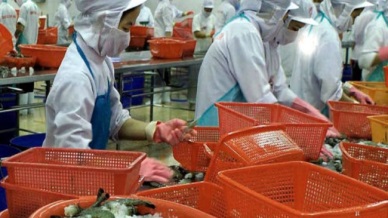 Khanh Hoa: Capture output at over 65,736 MT