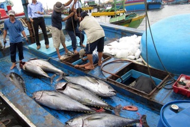Fishery production in the first 9 months up 5.4%