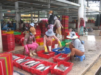 Khanh Hoa’s seafood exports aim for US$406 million
