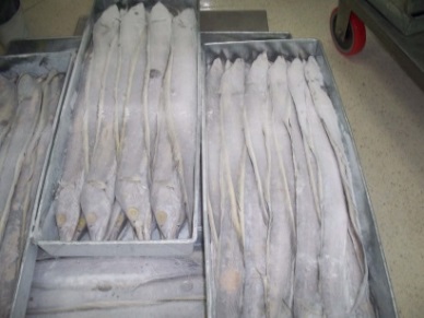 Khaspexco: Rise in marine fish export volume