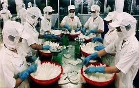 Kien Giang: Seafood production grew nearly 10 percents in 7 months