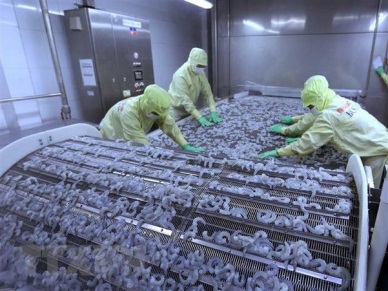 Kien Giang enjoys strong growth in exports