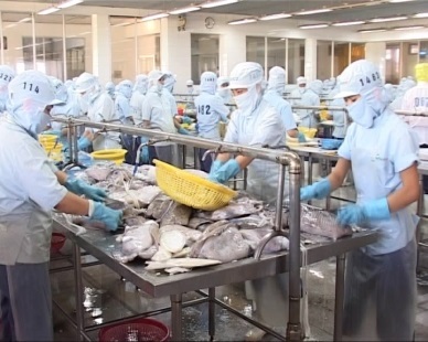 Khanh Hoa: seafood exports rose  