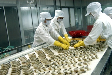 Seafood exports to S Korea on rise
