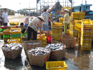Fish landings up 5.1 percent