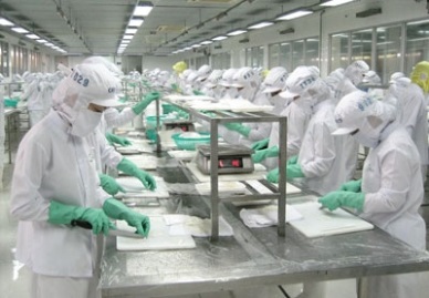 Firms hopeful about 2017