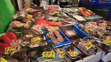 Fukushima still leaking radioactive water into Pacific threatening local fisheries 