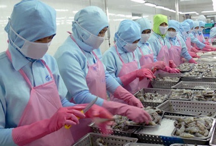 Vietnam recommended Japan to set up MRL for Ethoxyquin in shrimp similar to that for finfish