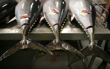 Thailand Lobbying To Secure Tuna Supply In The Pacific