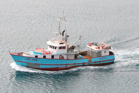 US Longliners Can Land 76 M/T Of Bluefin