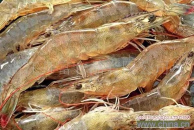 Sharp increase in imports of raw shrimp from Thailand