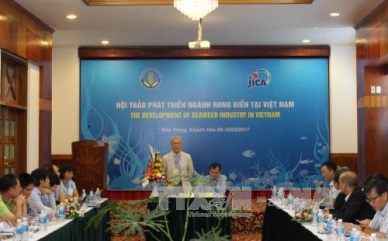 Workshop spotlights sustainable seaweed cultivation