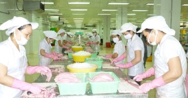 Mekongfish Co.: Profit after tax hit VND2.6 billion in 2015