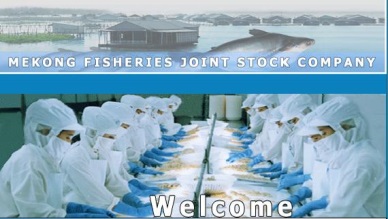 Mekongfish: VND114 billion of net turnover in Q.I/2014