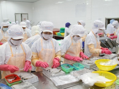 Inaugurating shrimp processing plant for export in Ninh Thuan 