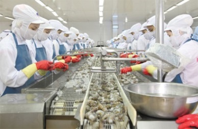 Minh Phu Seafood Corp: Profit after tax hit VND41.4 billion