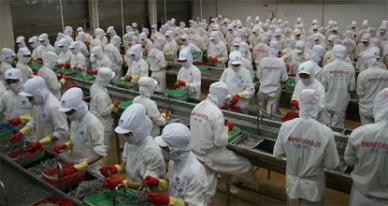 Minh Phu – Hau Giang Seafood Corp recognized as prioritized enteprise